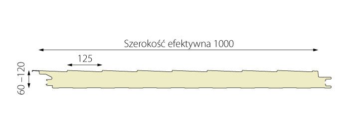 Przekrój płyty warstwowej dachowej